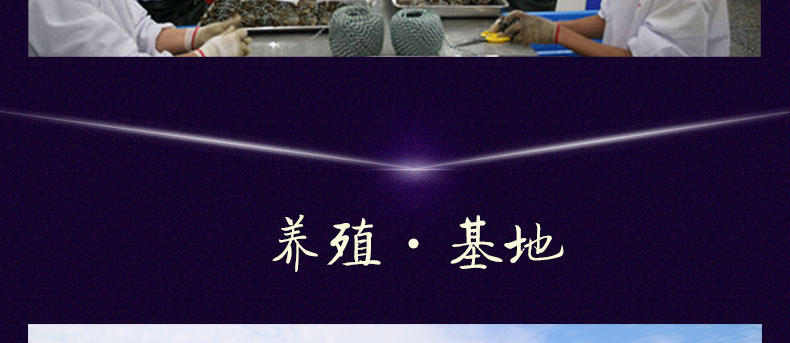 【螯菊】阳澄湖大闸蟹1388型6只装鲜活螃蟹礼盒（公3.8-4.2两、母2.8-3.0两）