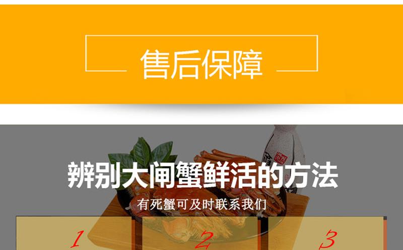 螯菊阳澄湖大闸蟹套餐公蟹5.0-6.0两母蟹3.5-4.0两6只装鲜活螃蟹礼盒