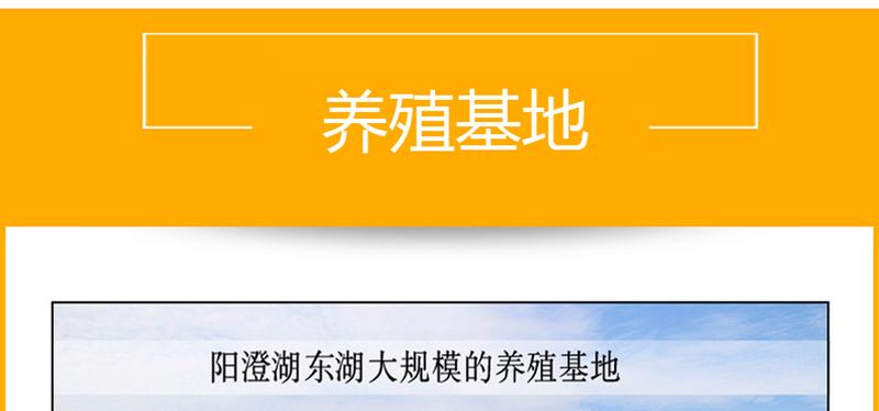 螯菊阳澄湖大闸蟹套餐公蟹3.0-3.4两母蟹2.0-2.4两10只装鲜活螃蟹