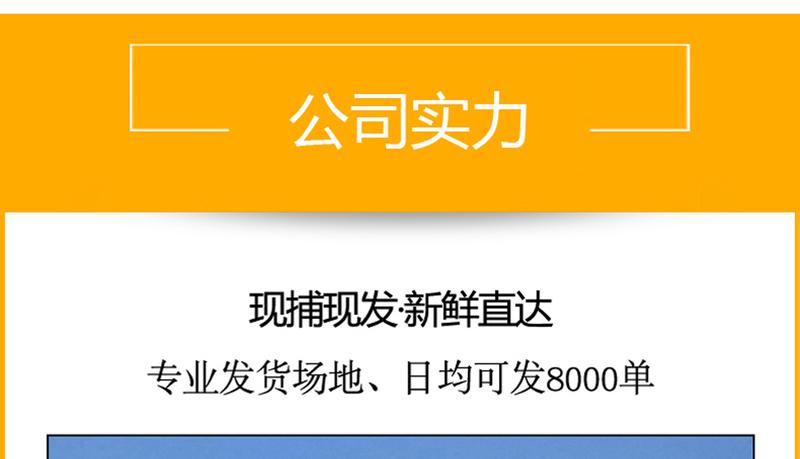 螯菊阳澄湖大闸蟹套餐公蟹4.5-4.9两母蟹3.0-3.4两8只装鲜活螃蟹礼盒