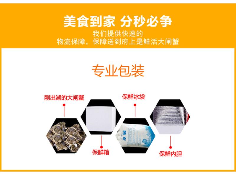 螯菊阳澄湖大闸蟹套餐公蟹4.0-4.4两母蟹2.8-3.0两10只装鲜活螃蟹礼盒