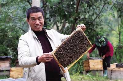 红红益 爱心助农产品【百花蜂蜜】好山好水产好蜜，山区特产—纯正天然