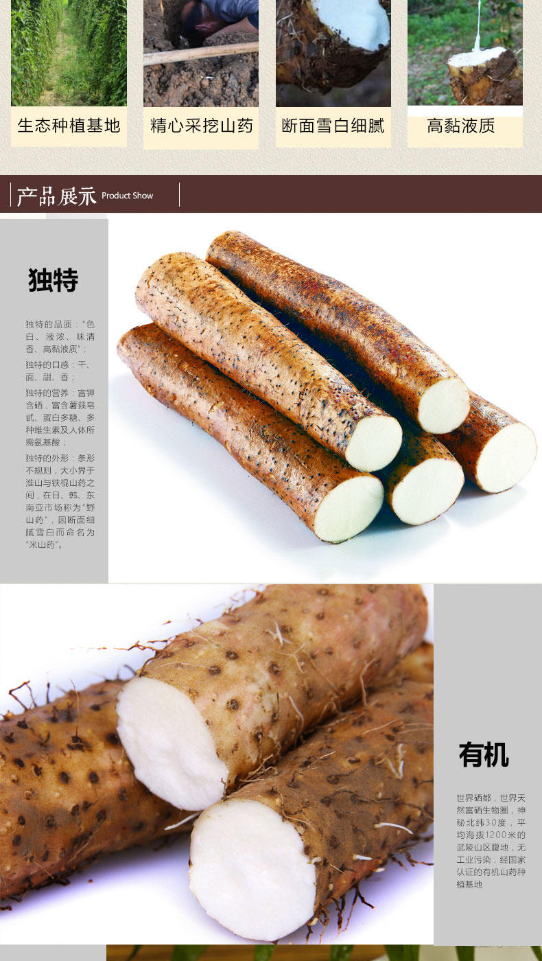 利川龙船水乡 有机食品 精品米山药 5斤装 全国包邮