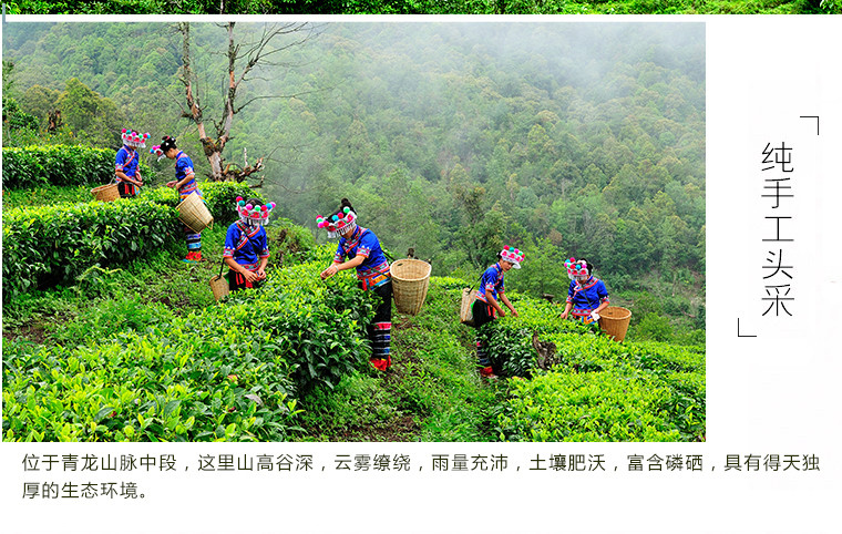 恩杰祖 云南大理云龙团结恩祖茗茶春茶礼盒300g