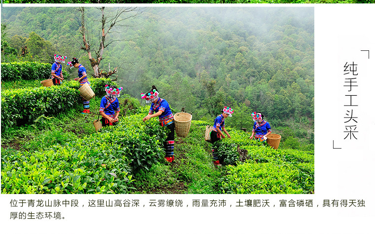 恩杰祖 云南大理云龙团结恩祖茗茶夏茶100g