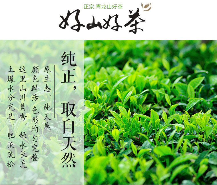 恩杰祖 云南大理云龙团结恩祖茗茶夏茶100g