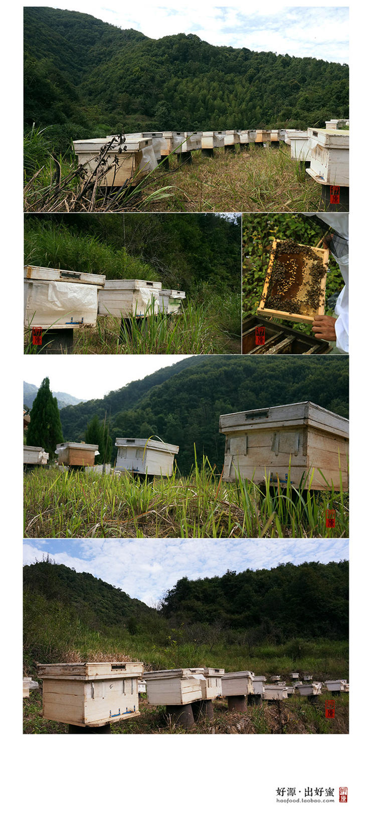 曹字 蓸字银透明中蜂蜜纯天然农家自产野生山野无添加土蜂蜜百花蜜深山