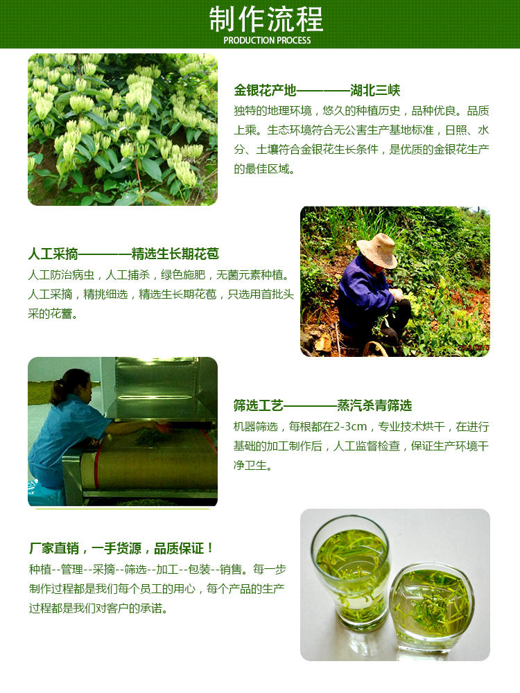 【宜昌馆】犁楚 横冲金银花茶  清香扑鼻 入口醇爽 金银花蕾茶 40g