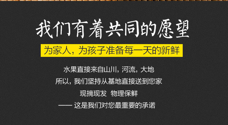 预卖 新鲜采摘九月红秋橙  湖北秭归脐橙橙子酸甜多汁 橙子5斤