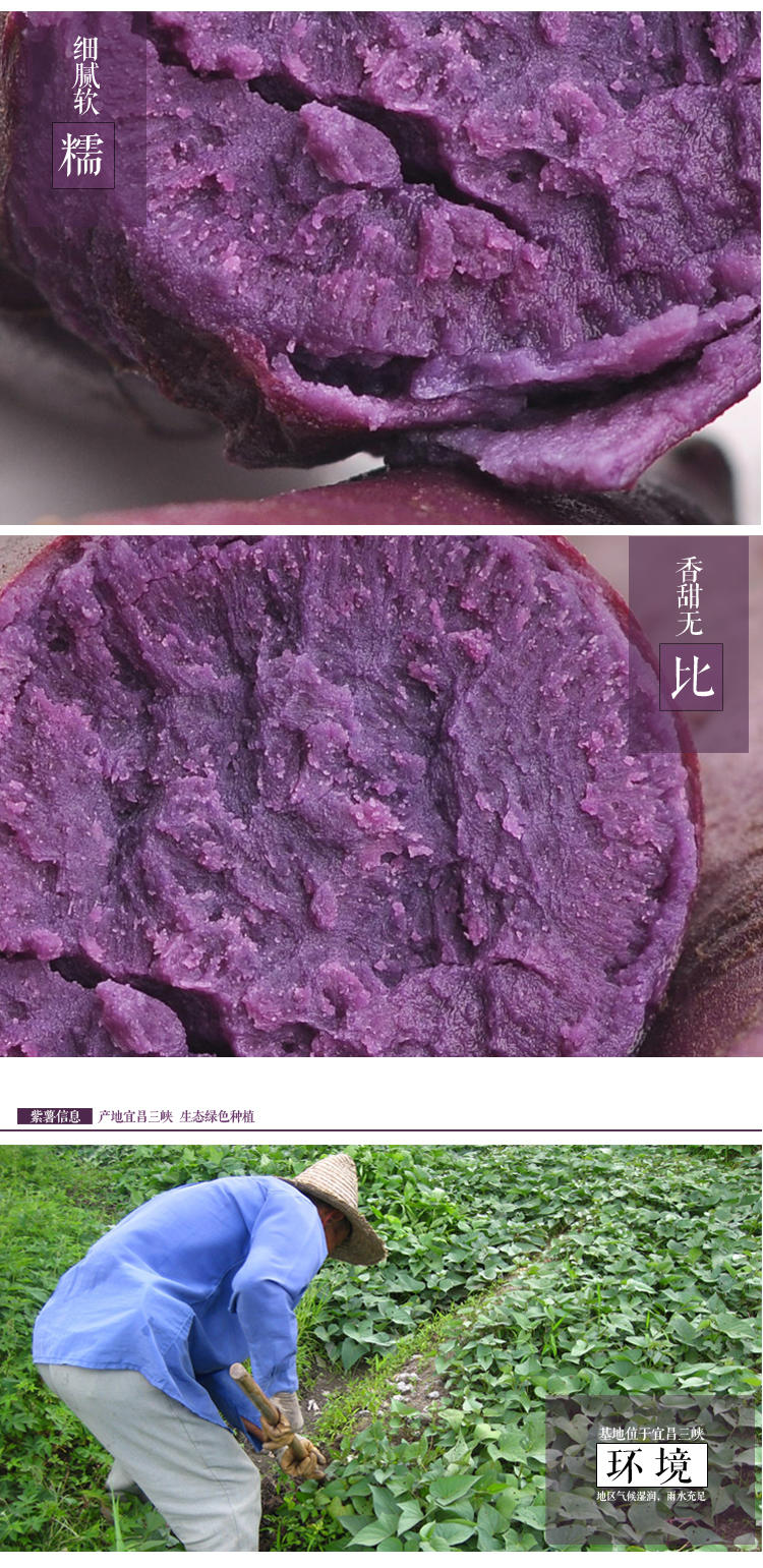 三峡特产 新鲜紫薯 小番薯紫心薯紫苕 农家自种蔬菜地瓜 5斤