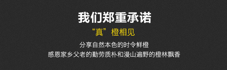 湖北宜昌犁楚 纽荷尔脐橙 新鲜水果橙子 孕妇农家甜橙子 5斤