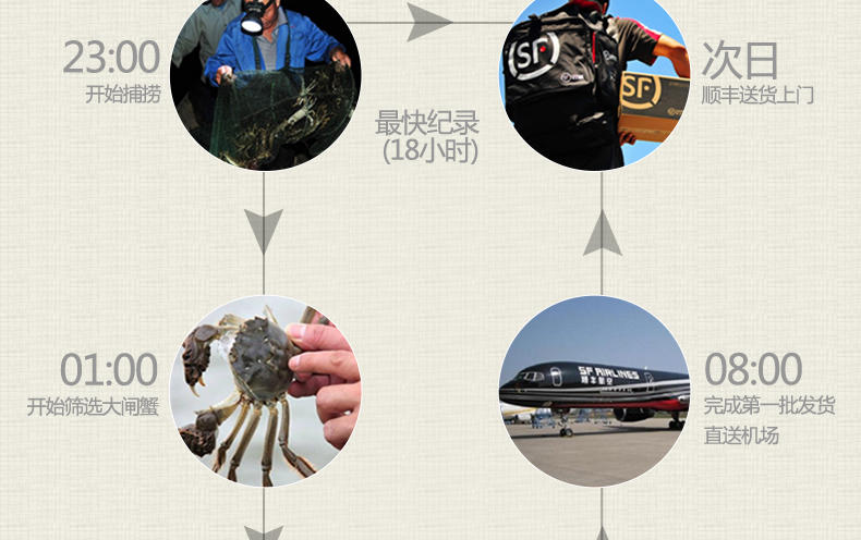 【臻原生】阳澄湖大闸蟹688型8只装鲜活螃蟹礼盒（公2.8-3.2两、母1.8-2.2两）