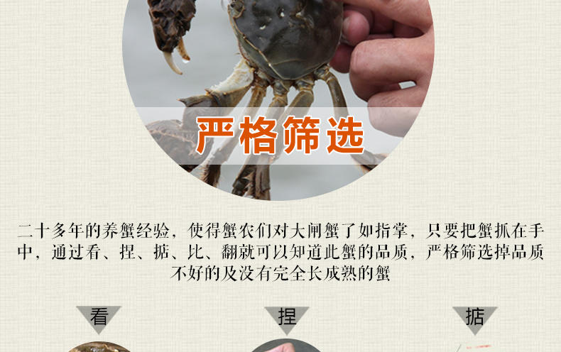【臻原生】阳澄湖大闸蟹1988型8只装鲜活螃蟹礼盒（公4.3-4.7两、母3.1-3.3两）