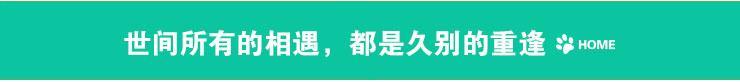 亿佰佳晾衣架 单杆落地伸缩不锈钢晒衣架 带折叠盘毛巾架尿布架DC-504 灰色