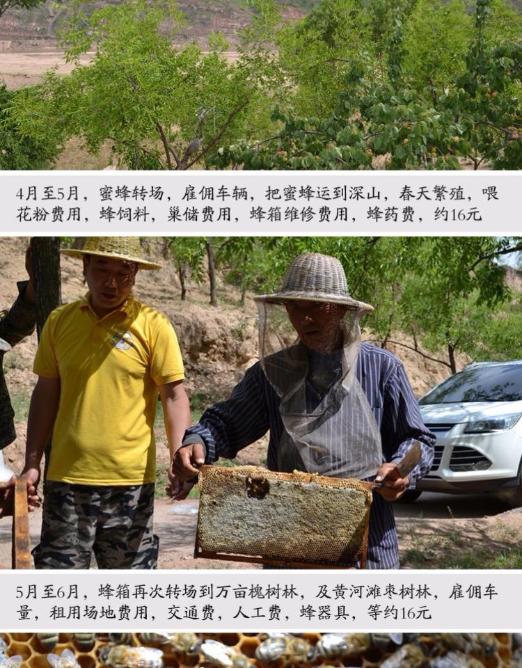 [田小仙槐花蜜500g]原生态纯天然农家自产成熟无添加蜂蜜新鲜
