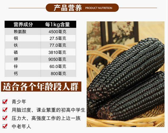 2016年忻州新鲜琪悦黑玉米棒糯甜220g*12根整箱非转基因真空包装