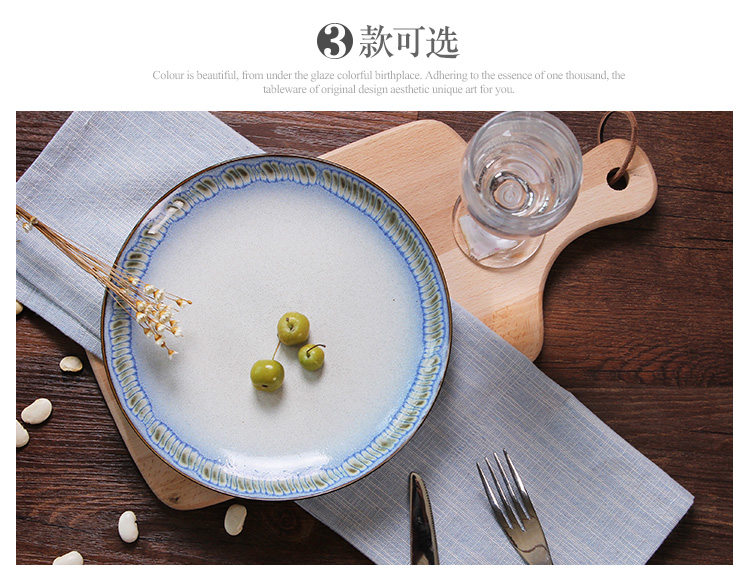 醴陵瓷彩美 手绘陶瓷盘子菜盘家用碟子个性创意装饰挂西餐盘平餐厅