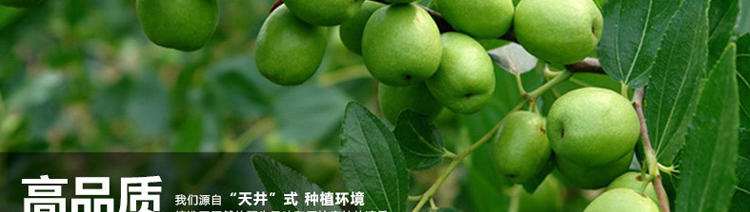 【瑞禄园】 醴陵土特产  紫苏酸枣粒