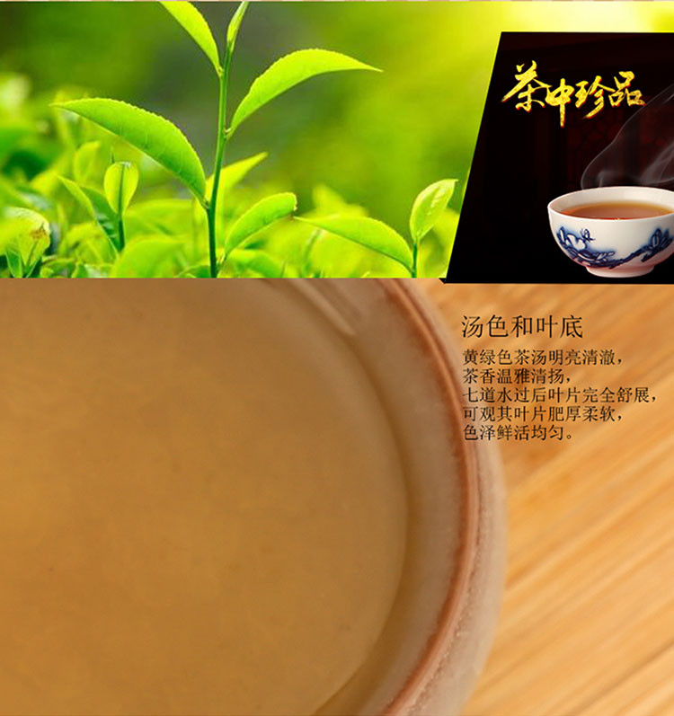 楚天碧玉 一级龙井 新茶礼盒装雨前绿茶尖明日照嫩芽耐泡茶叶