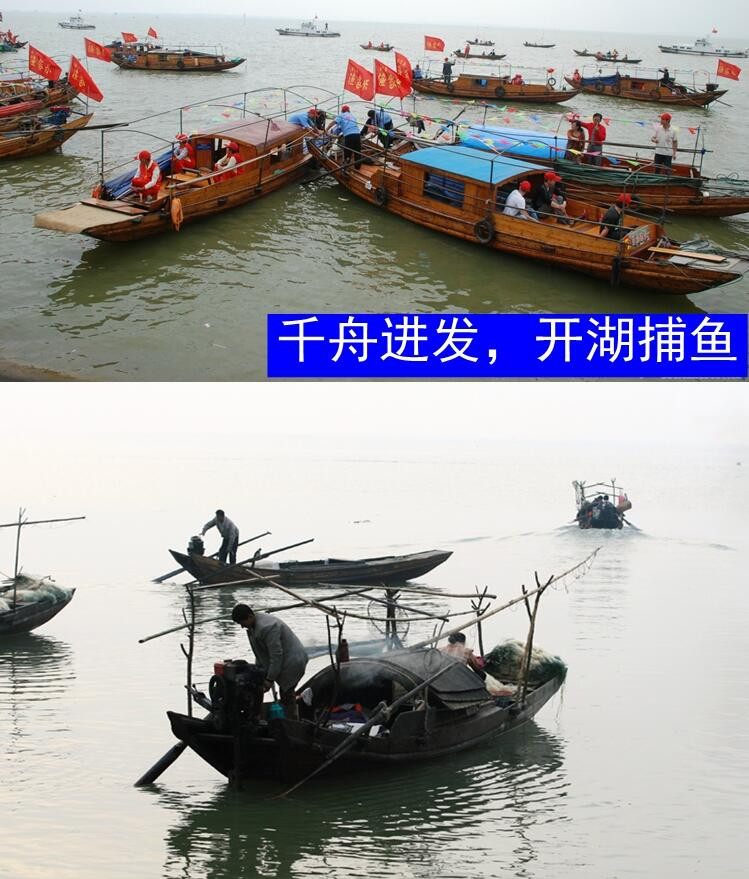 楚天碧玉 湖北特产鄂州市梁子湖红尾鱼 4盒装1072g 2种味道送礼盒