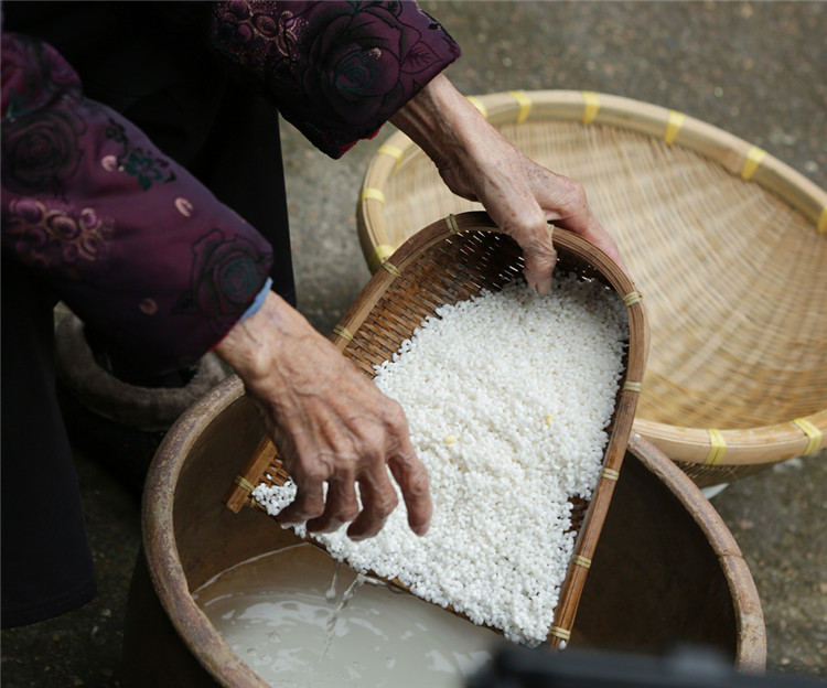 横县特产金姐大粽