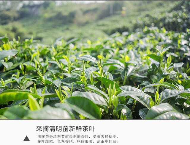 横县周顺来茉莉毛尖特级茶叶浓香型茉莉花茶100g袋浓香型绿茶包邮