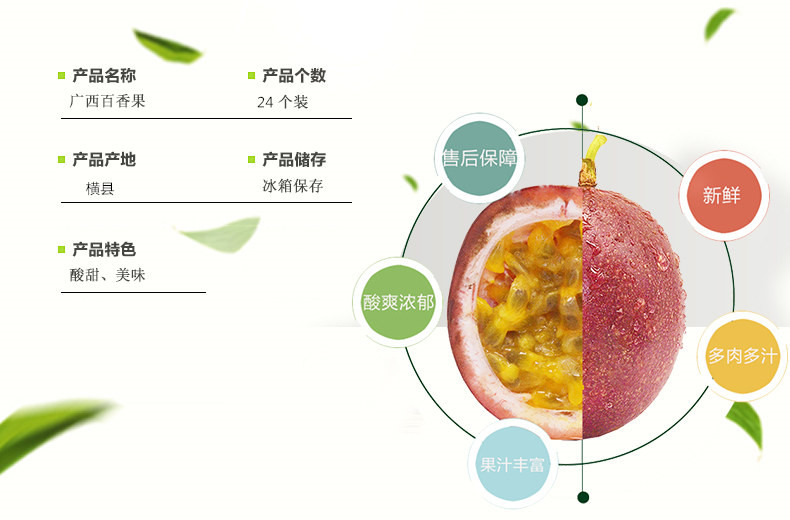 广西横县百香果