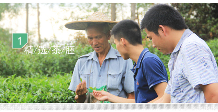 茉莉花茶2016新茶浓香茶王茶叶花茶茉莉花茶高档银针罐装250g包邮