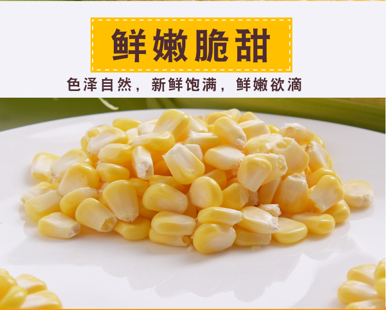 广西横县新鲜甜玉米5斤包邮
