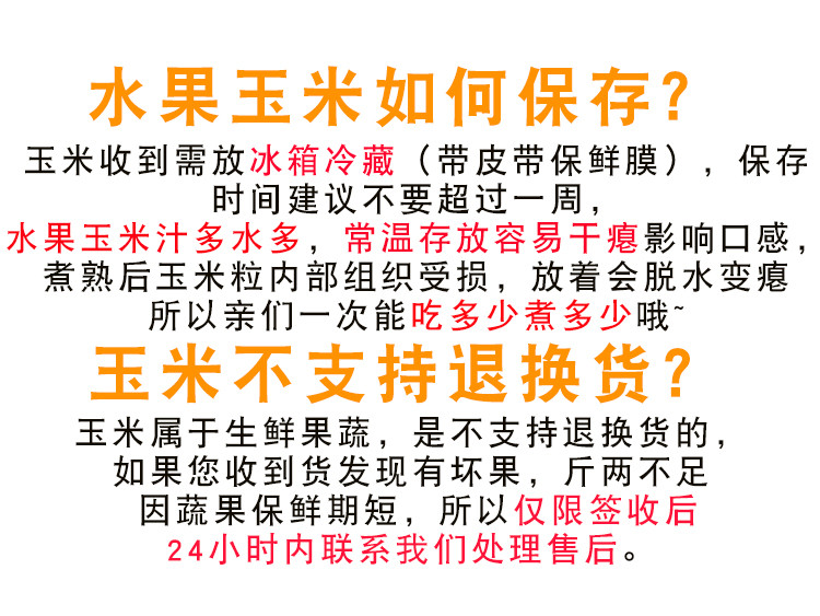 广西横县新鲜甜玉米5斤包邮