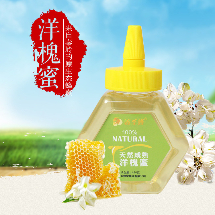 【襄州】鑫圣蜂 天然野生成熟洋槐蜜480g一瓶