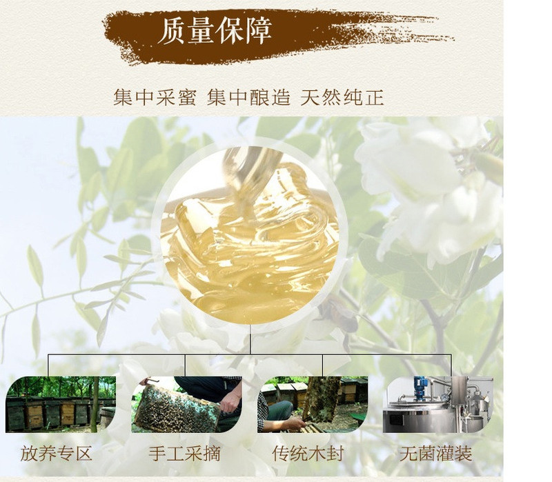 【襄州】鑫圣蜂 秦岭袋装洋槐蜂蜜12g 洋槐蜜【活动价，共100份】