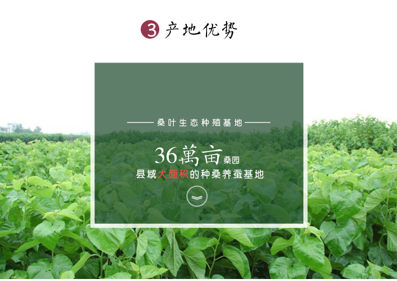 刘三姐 100%桑蚕丝被冬被8斤 纯手工制作 优等品