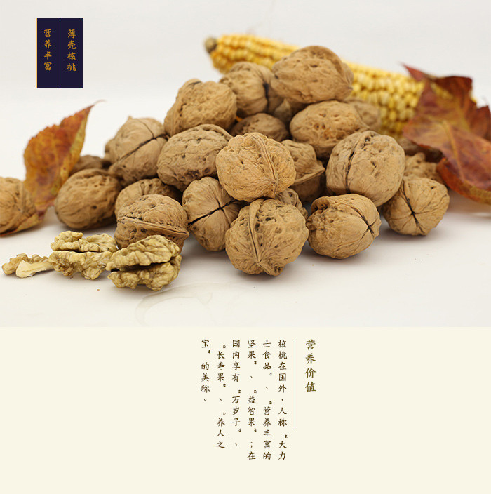 滇贝 薄壳核桃1kg    干果薄壳核桃   泡核桃  纸皮核桃