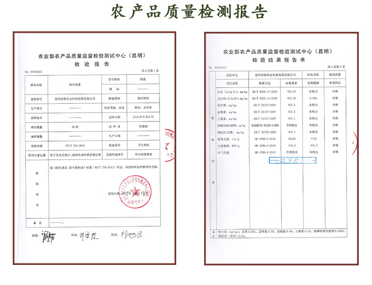 滇贝 绿壳鸡蛋25枚 绿色鸡蛋 新鸡蛋 农家鸡蛋笨鸡蛋 自养 土鸡蛋