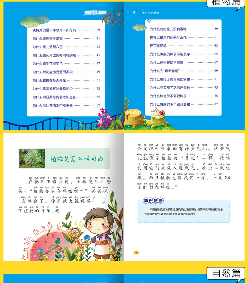 全4册十万个为什么幼儿注音版3-6岁儿童科学启蒙图书 幼儿园宝宝早教必备