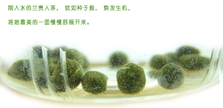 椰仙兰贵人茶50g