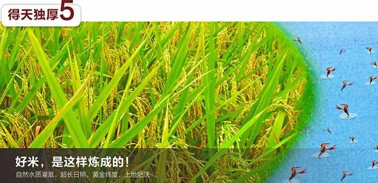 【漢临风·潜江馆】虾稻连作  虾乡稻 5kg生态大米 （绿色）