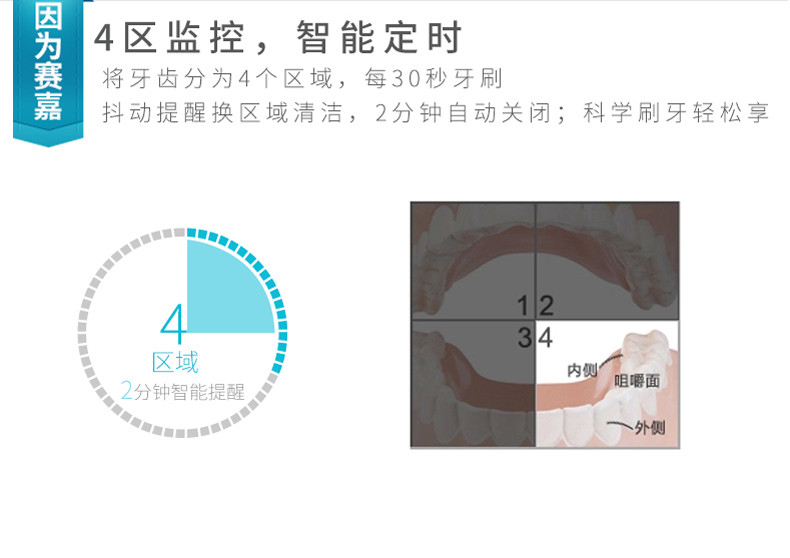 seago/赛嘉 智能 成人电动牙刷声波 软毛美白自动家用便携SG-610