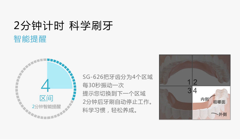 seago赛嘉 成人电动牙刷usb充电式 智能声波牙刷商务便携SG-626