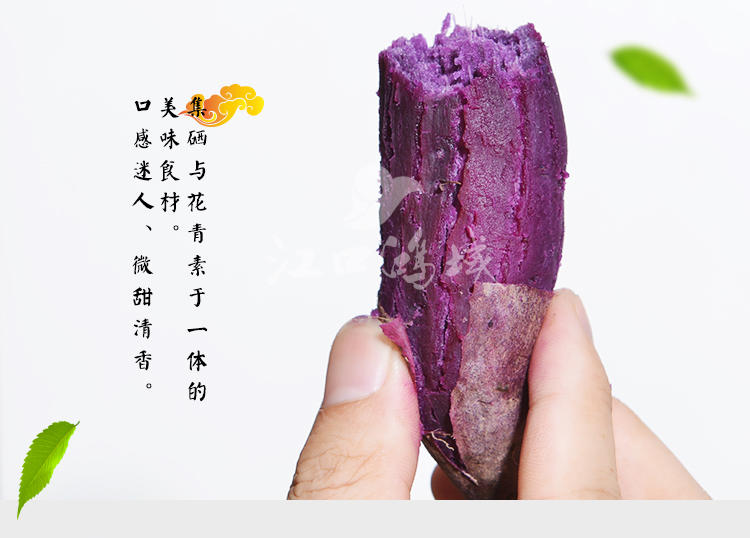 巴山农家自种原生态新鲜紫薯红薯紫番薯芋头香甜地瓜5斤装