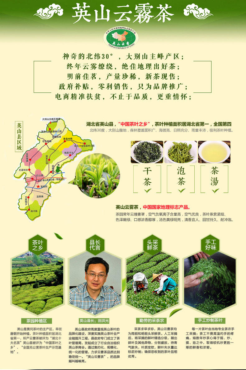 团黄 2016新茶 大别山高山云雾 茶叶绿茶 特级春茶云雾茶100g