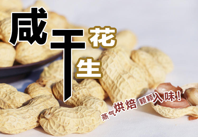 垄上良品 农家咸干花生带壳红皮炒货坚果椒盐味休闲零食小吃食品