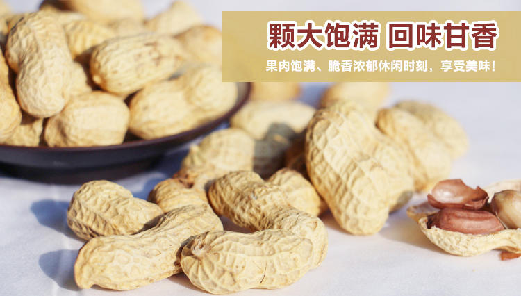 垄上良品 农家咸干花生带壳红皮炒货坚果椒盐味休闲零食小吃食品