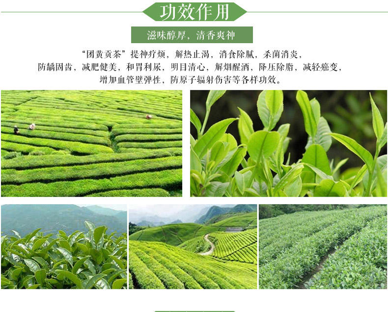 团黄 英山云雾茶团黄贡茶明前新茶绿茶高山云雾茶50g盒装茶叶