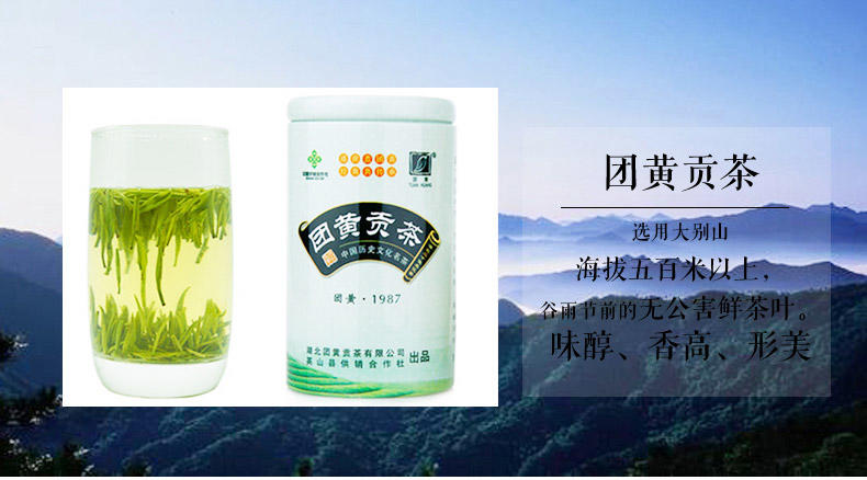 团黄 英山云雾茶团黄贡茶明前新茶绿茶高山云雾茶50g盒装茶叶