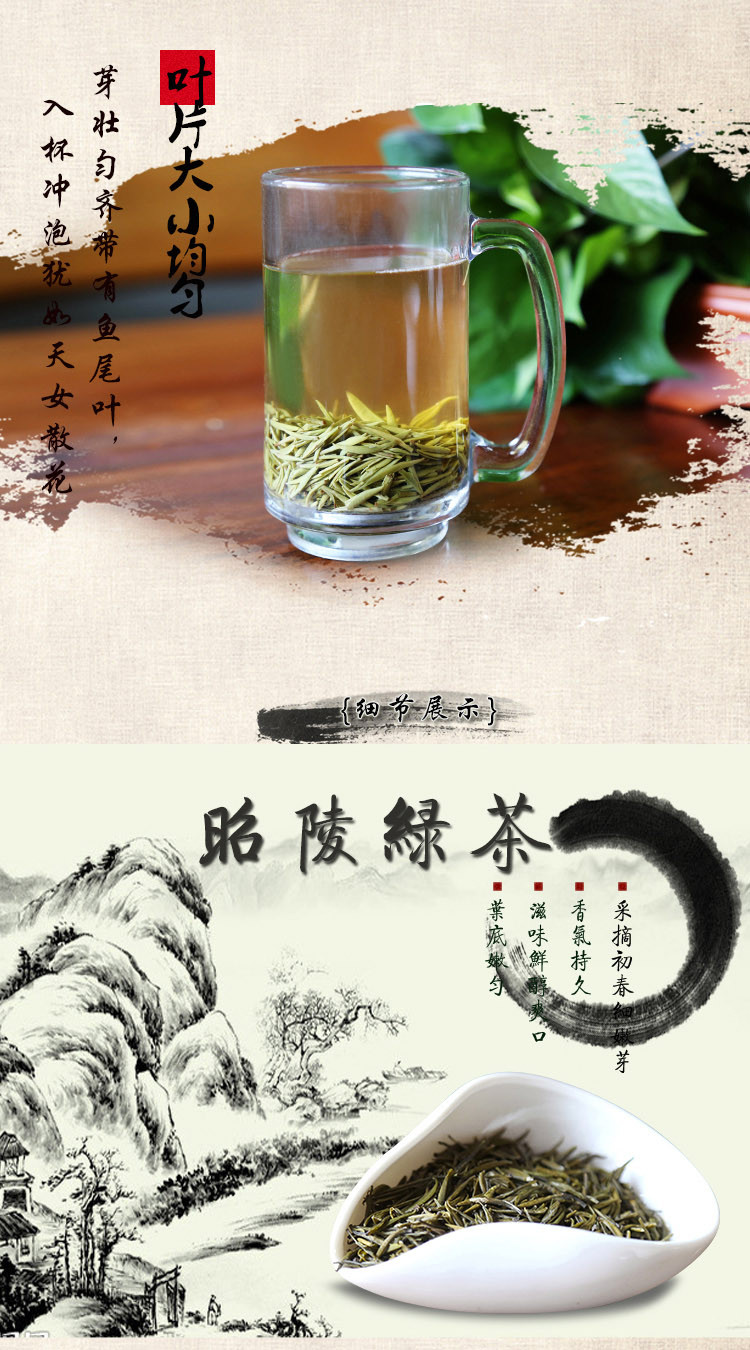 昭陵绿芝 绿茶