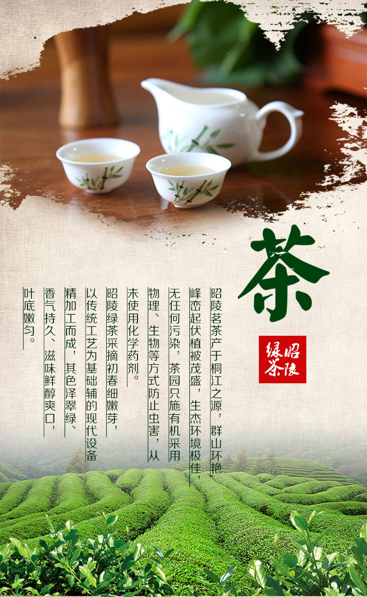 昭陵绿芝 绿茶