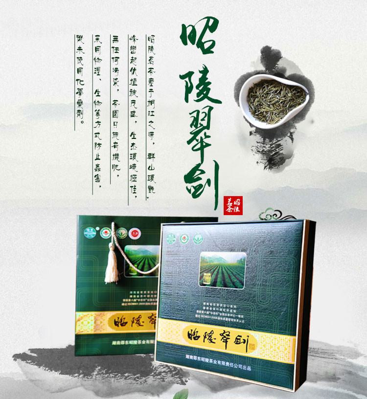 昭陵绿芝  绿茶