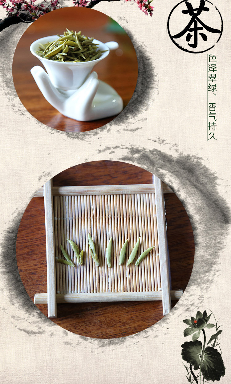 昭陵绿芝 绿茶